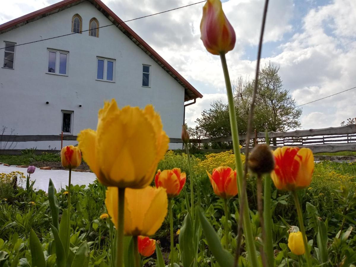 Zakatek Szczescia Eko Agroturystyka Kiwity Екстериор снимка